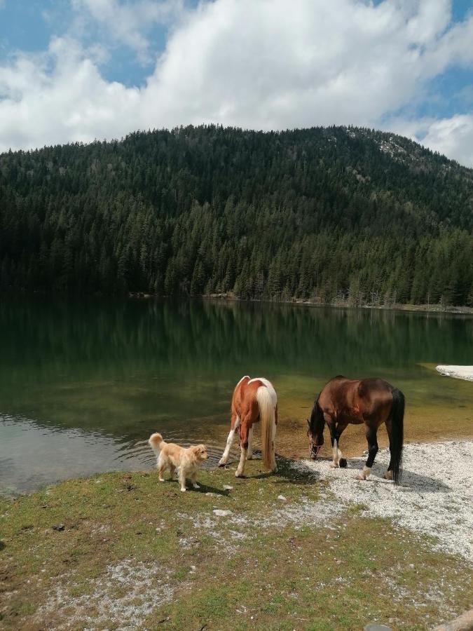 Zabljak_Vikendica Exteriör bild